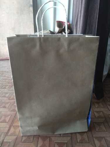 Brown Paper Carry Bag  Size: Custom