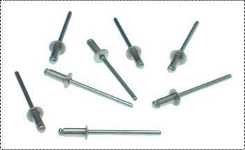 Anti Corrosive Stainless Steel Rivets