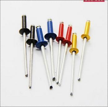 Stainless Steel Coloured Blind Rivet