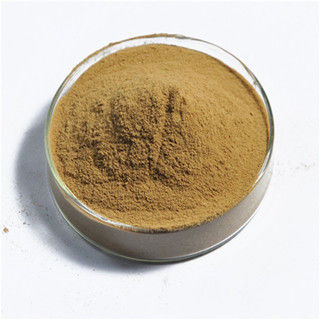 Autolyzed Yeast Extract - Thick Gel and Moist Powder Form | Savory Food Flavoring for Soups and Snacks