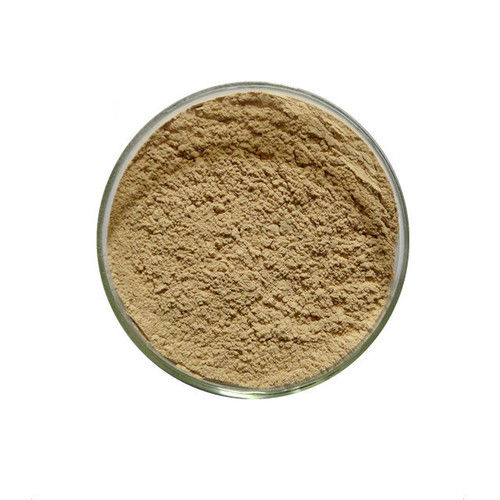 Autolyzed Yeast Extract - Liquid, Paste, Powder or Granular | Flavor Enhancer & Firming Agent, Hydrolyzed Protein Peptides