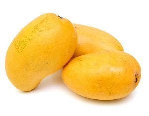 Organic Yellow Fresh Mangoes