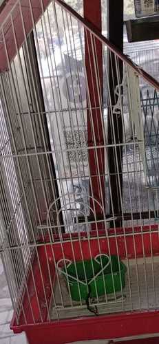 Wholesale Price Bird Cage