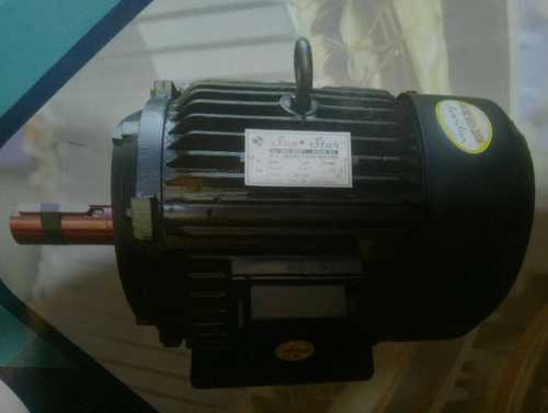 Black Color Three Phase Electric Motor