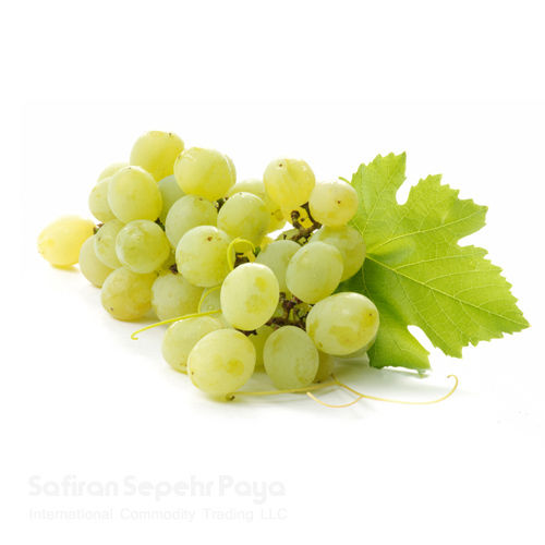 Fresh Green Grapes