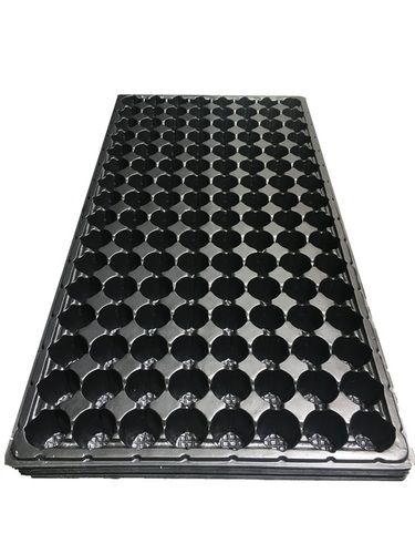 50, 98 And 104 Cavity Seedling Tray