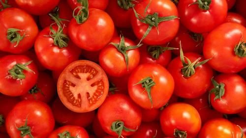 Fresh And Pure Tomato 