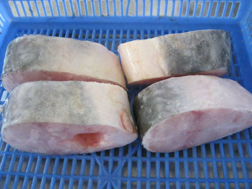 Frozen Pangasius Steak