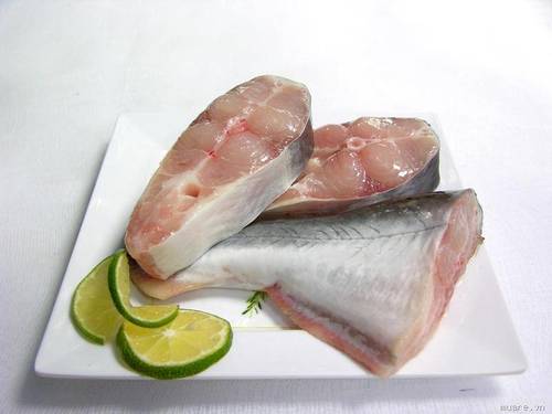 Frozen Pangasius Steak