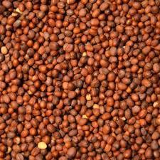 Organic Brown Radish Seeds Grade: Aaa