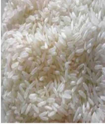 Fully Polished Mota Rice