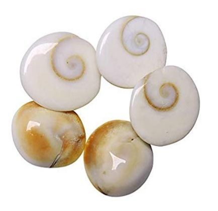 Gomati Chakra Back Material: Rubber Tpr