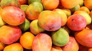 Yellow And Red Mix High Quality Fruit Mango