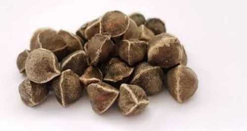 Brown Impurities Free Moringa Seeds