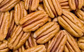 Organic Raw Pecan Nuts