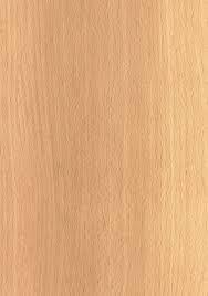 Precious Beech Laminates