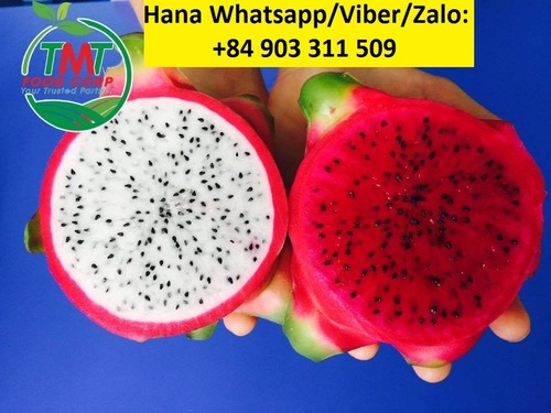 Fresh Sweet Dragon Fruit By  TMT FOODS IMPORT EXPORT JOINT STOCK COMPANY