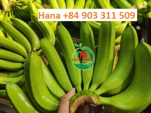 Natural Green Cavendish Banana By  TMT FOODS IMPORT EXPORT JOINT STOCK COMPANY