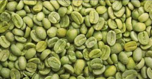 Green Coffee Beans, Moisture: 12.5 %