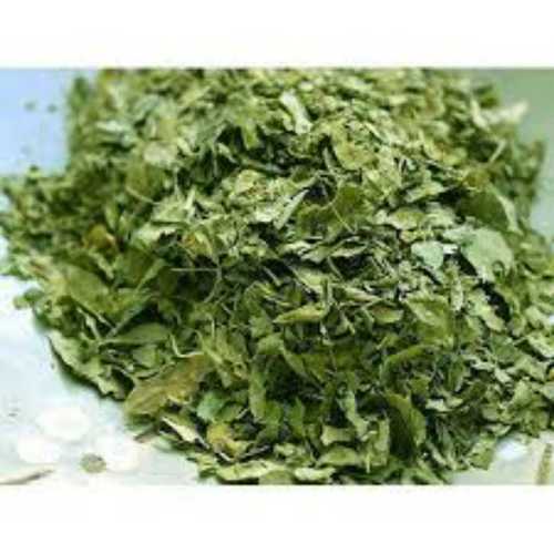 Morringa Leaves, Moisture: 8 %