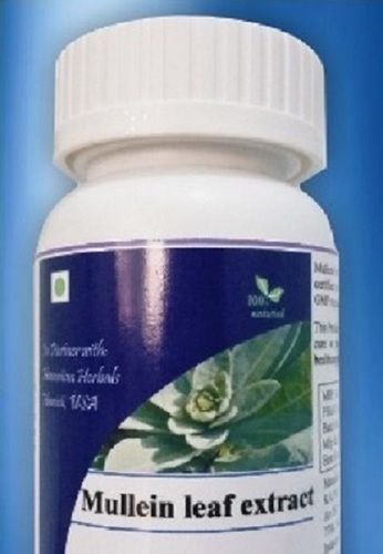 Mullein Leaf Extract