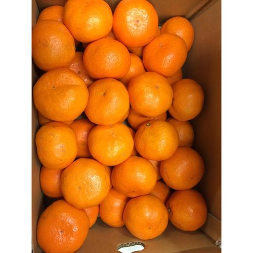 Farm Fresh Kinnow, Orange