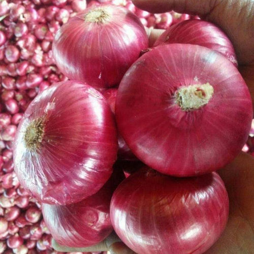 Fresh Round Onions - Medium Size, 50-60 kg PP, Net, Gunny Bag | A Grade, B Grade Quality