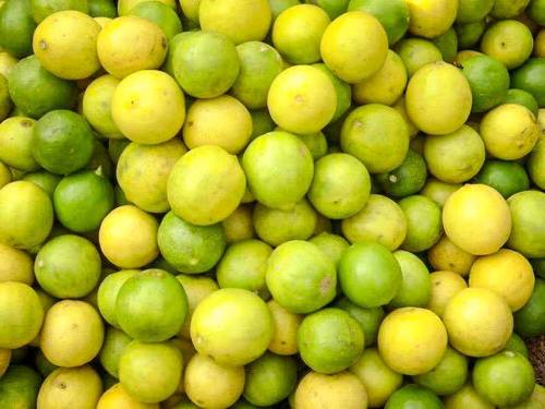 Natural Juicy Fresh Lemons