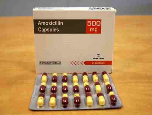 Amoxicillin Capsules 250MG