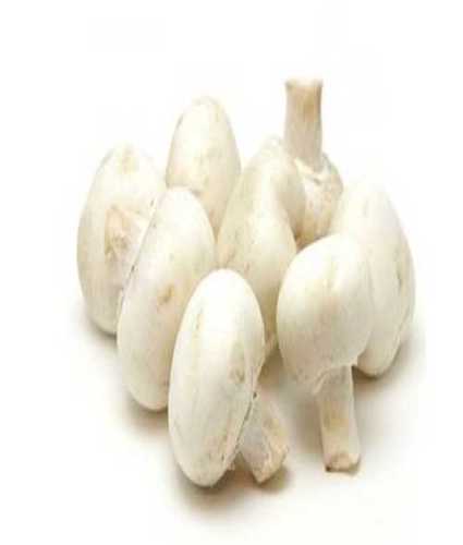 White Fresh Natural Button Mushroom