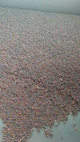 Dried and Cleaned Red Mustard Seed