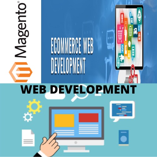 Website Development Services By Ceymox
