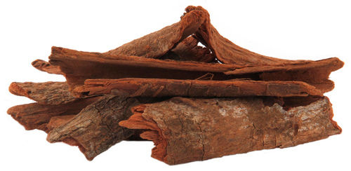 Natural Brown Cinchona Bark Age Group: For Adults