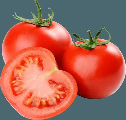 Round Export Quality Fresh Organic Tomato