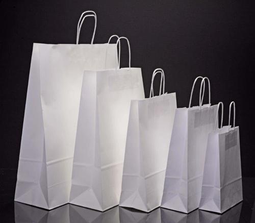 Disposable Kevla White Plain Paper Bag