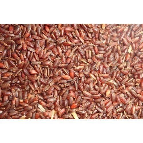 Organic Red Kattuyanam Rice Origin: India