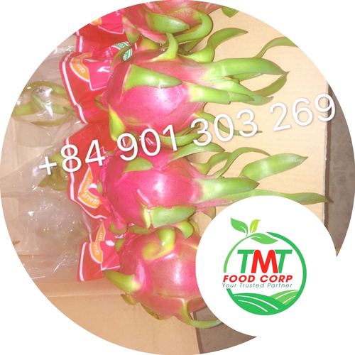 Farm Fresh Dragon Fruit