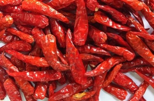 Dried Red Chilli DC3-TMT