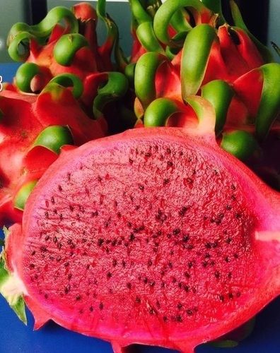 Fresh Dragon Fruit Red Flesh