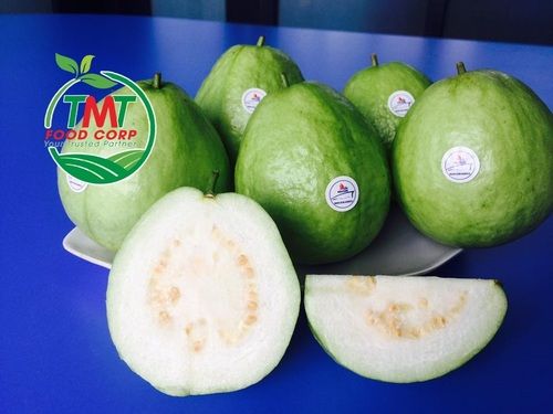 Green Skin And White Flesh Vietnam High Nutrition Guava