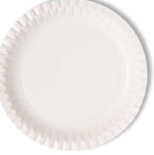 Lightweight Disposable Paper Plate Application: Event