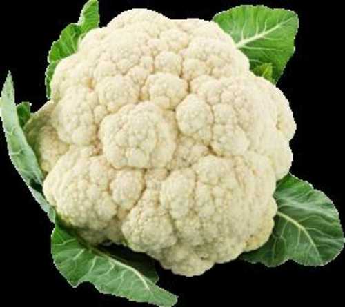 Export Quality Fresh Organic Cauliflower
