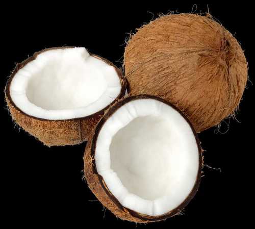 Fresh Organic Coconut Fruit