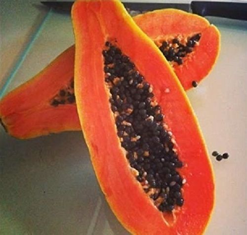 Fresh Red Papaya Pulp