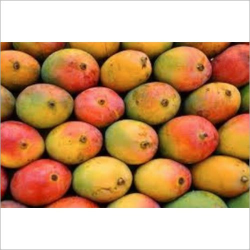 Yellowish Pure Sindura Mango Pulp