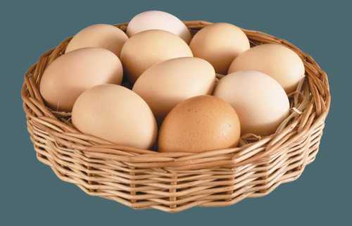Fresh Kadaknath Chicken Egg