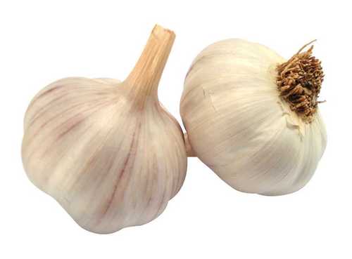 Natural Fresh Organic Raw Garlic