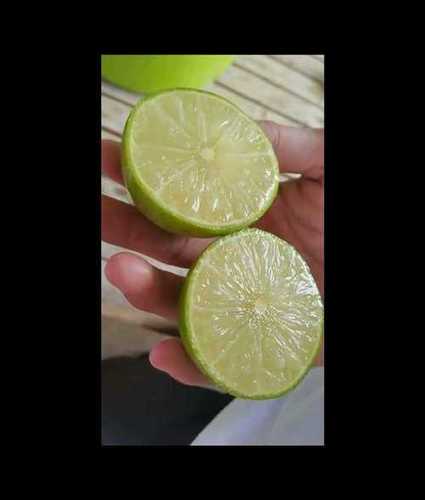 Fresh and Juicy Seedless Lemon 