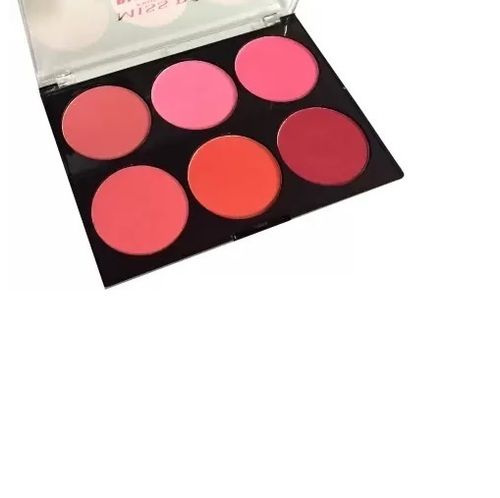 Blush Face Makeup Kit