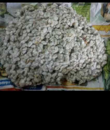 Cattle Feed Cotton Seed & Powder